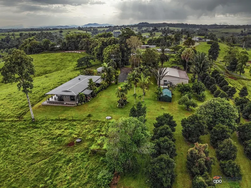 Fertile Coastal Cattle Fattening, Horse Property