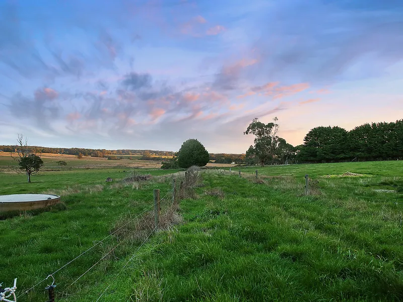 Attractive Barongarook Grazing Land