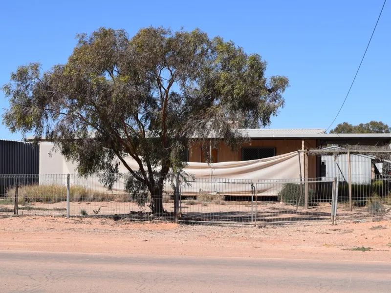 Three bedroom above ground home in need of some loving care!