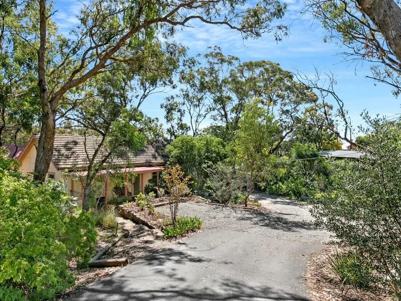 Great Accommodation, Huge Potential and Position Perfect! 