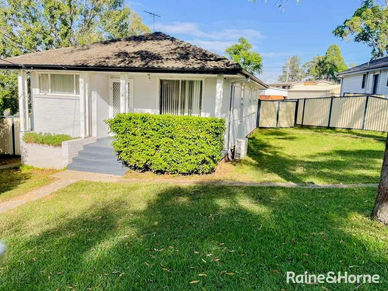 FRESHLY PAINTED THREE BEDROOM HOME + MASSIVE SHED