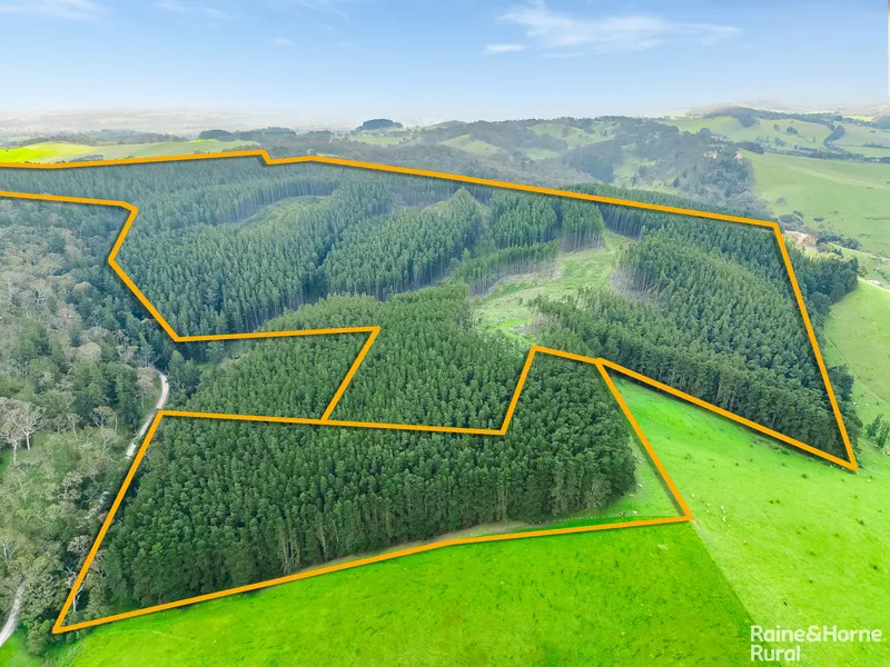 Live like it's Kuitpo - give new life to a tranquil pine forest on 2 freehold titles...