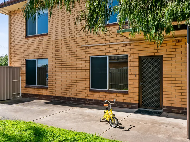 Perfect Starter or Investment…