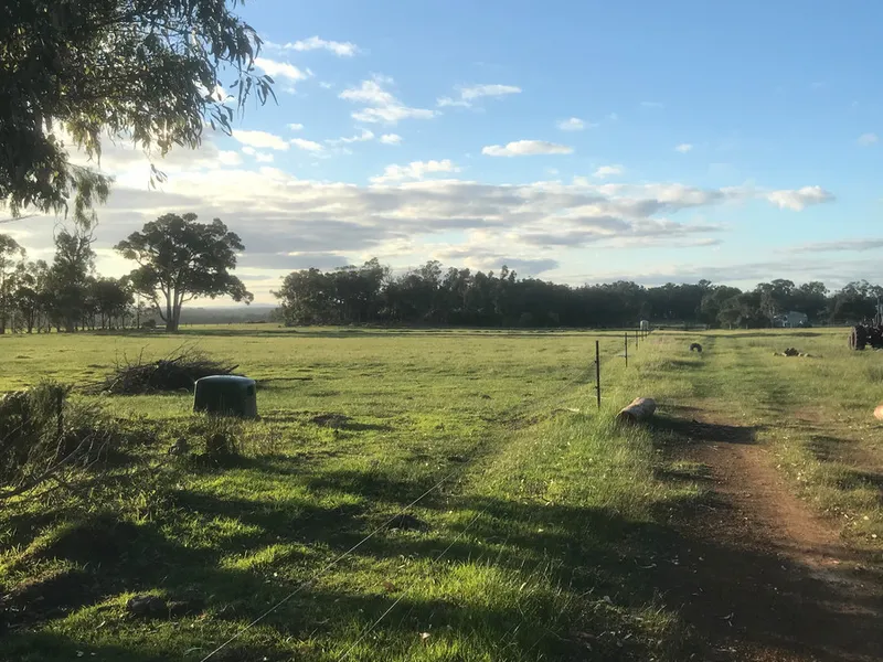 GREEN GREEN GRASS OF HOME