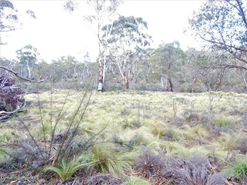 Old Butcher Shop Block