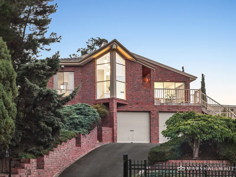 Entertainer's Delight in the EDSC Zone