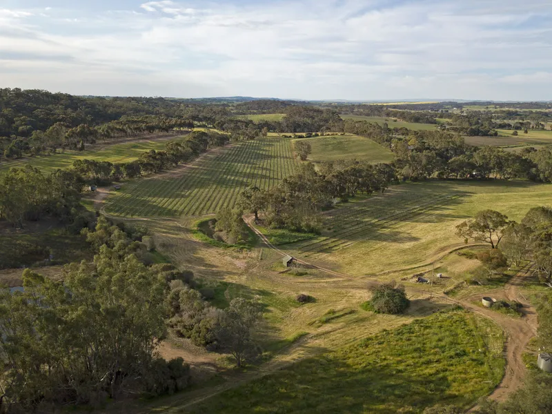 LOT 51 - 17.3 HA 9 (43.7 AC) LAND – APPROX. 6 HA (14.8 AC)  VINEYARD -20.8ML WATER ALLOCATION