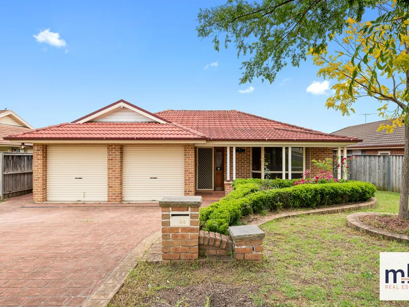 RENOVATORS DELIGHT!