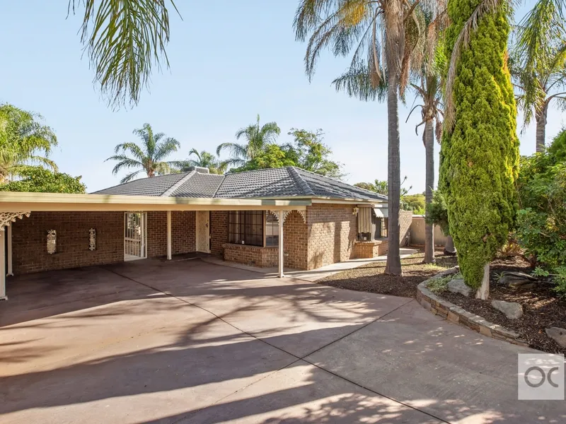 Let me entertain you