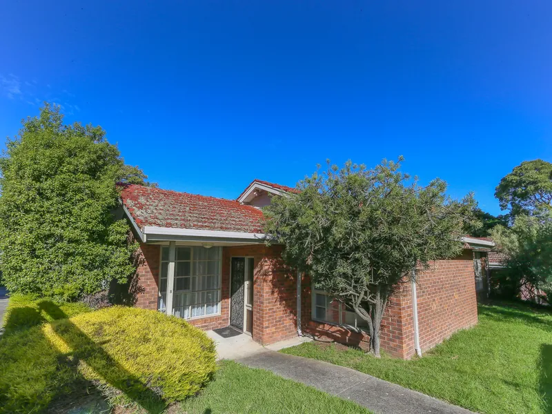 Freshly painted and new carpet