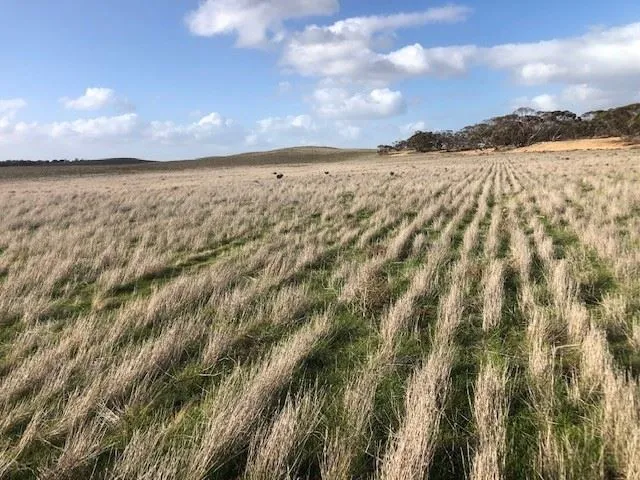 Farm Build up, First Farm, Invest
