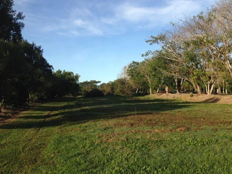 HALF ACRE IN QUIET SPOT BACKING ONTO NATURE RESERVE.