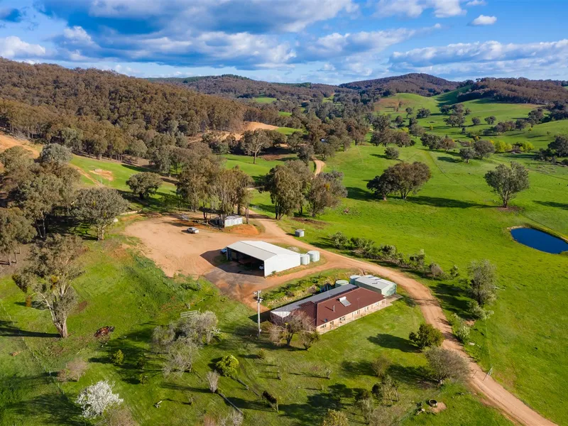 Little Billabong - Holbrook. Farming & Conservation Options.