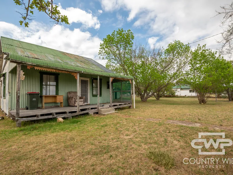 Renovators Delight