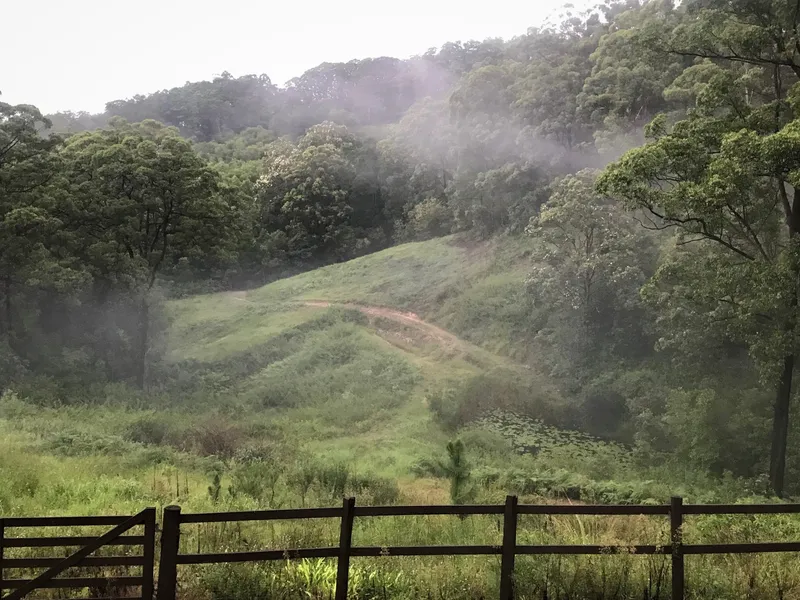 Two Stylish Family Homes plus Separate Studio on your own private 18 acres estate, only 5 minutes away from the enchanting Palmwoods village