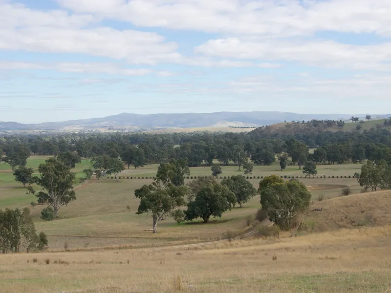 Lifestyle Block with Sweeping Views
