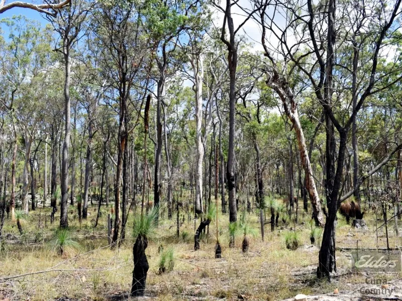 THE VAST LANDSCAPE WITH NATURAL SPRING