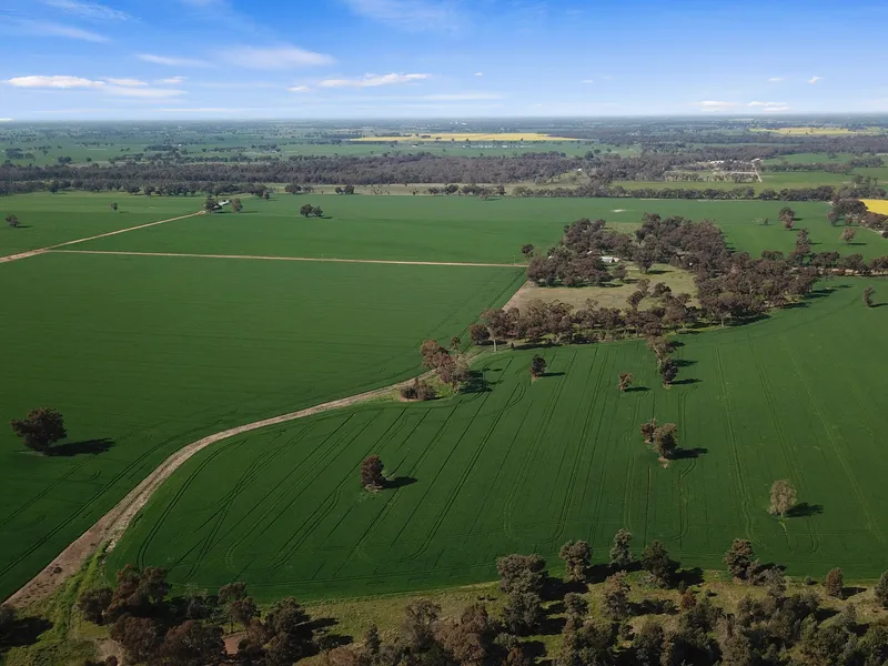 Magnificent CROPPING Country