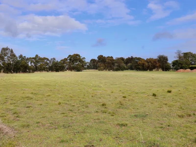 A plot with the lot...