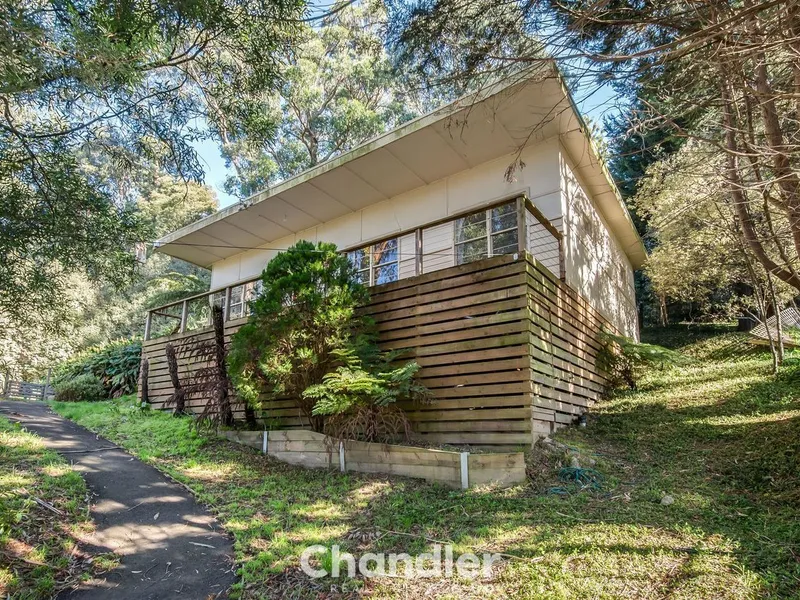 HILLS HOME WITHIN WALKING DISTANCE TO EVERYTHING!