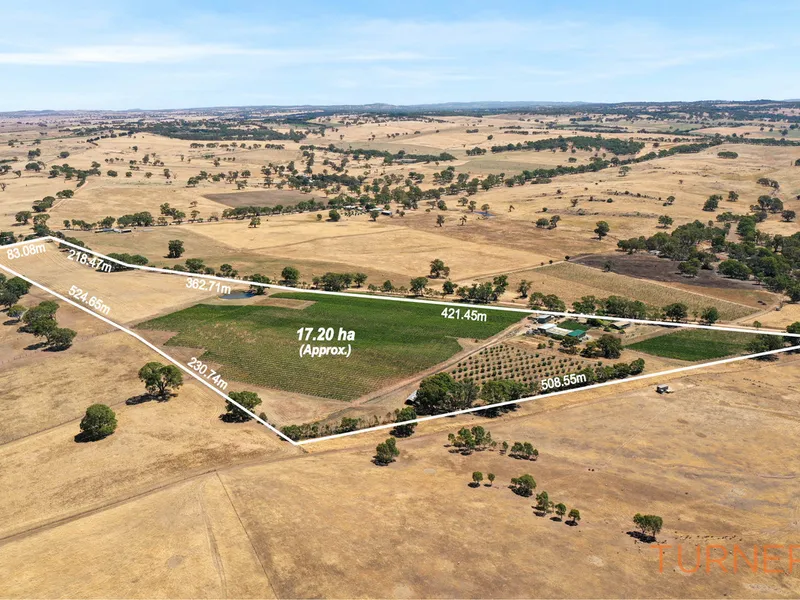 Drink in the delights of a new life in wine country