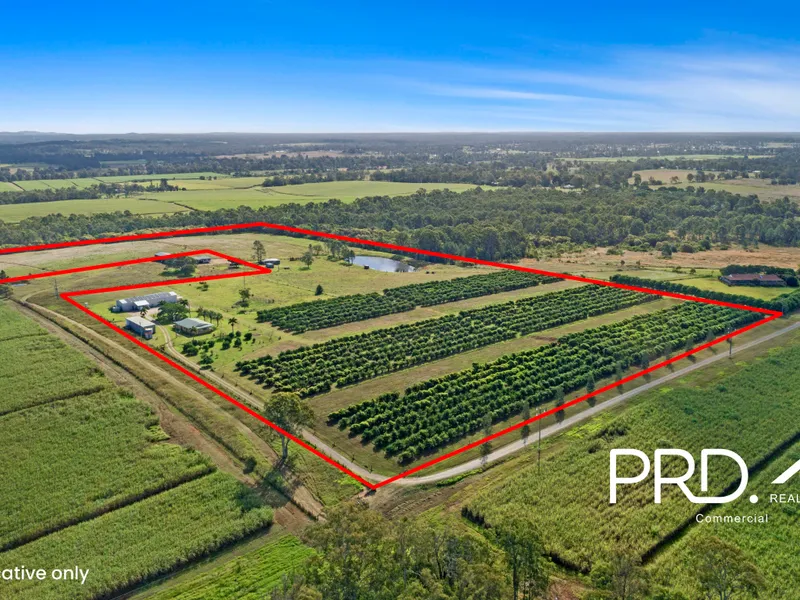 Mushroom and Lime Farm Tinana South- 40 Acres*