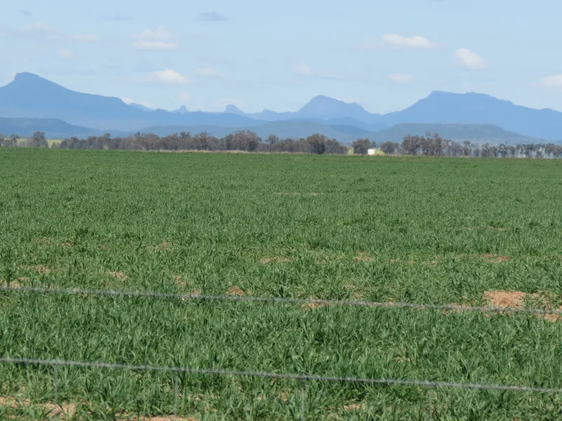 Affordable Livestock & Farming Country