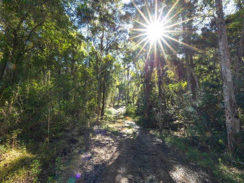 Slice of Australian Paradise, the Perfect Place to BEE!