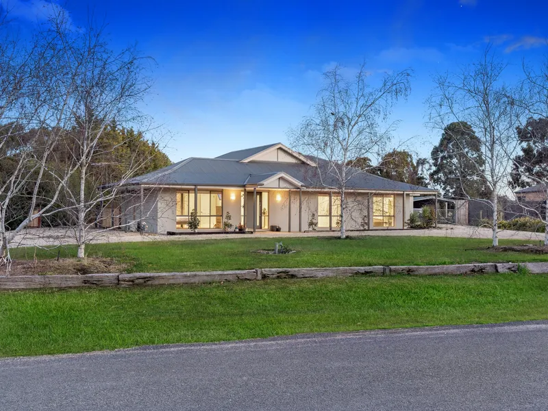 Family Friendly and Impressive Scope