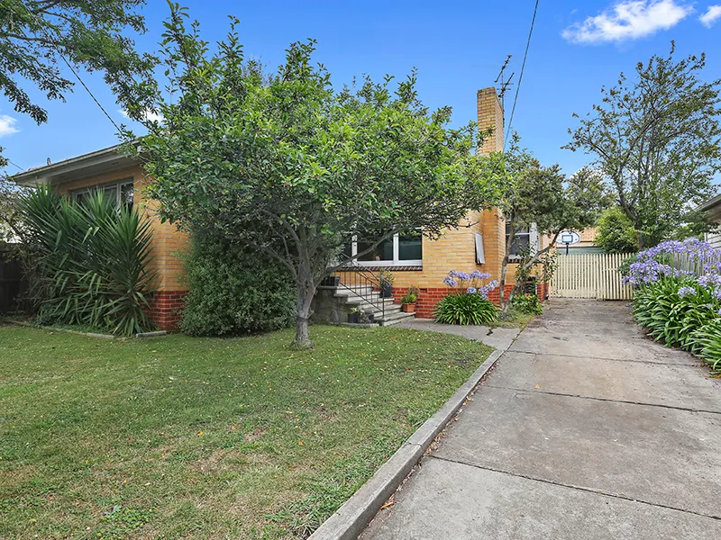 Opportunities Galore!