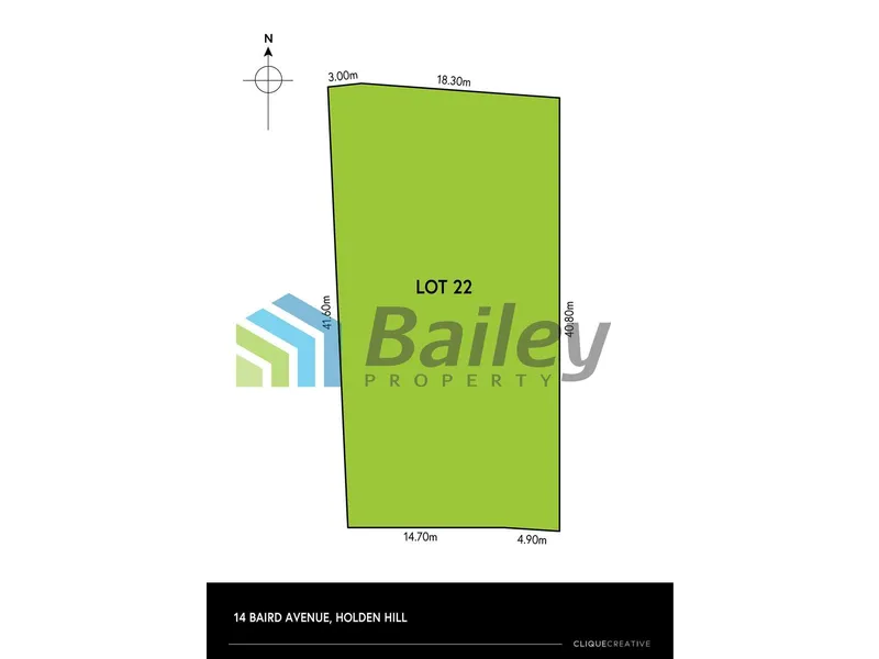 Opportunity for the Future