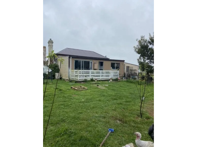 4 Bedroom Home On Almost 4 Acres Hobby Farm