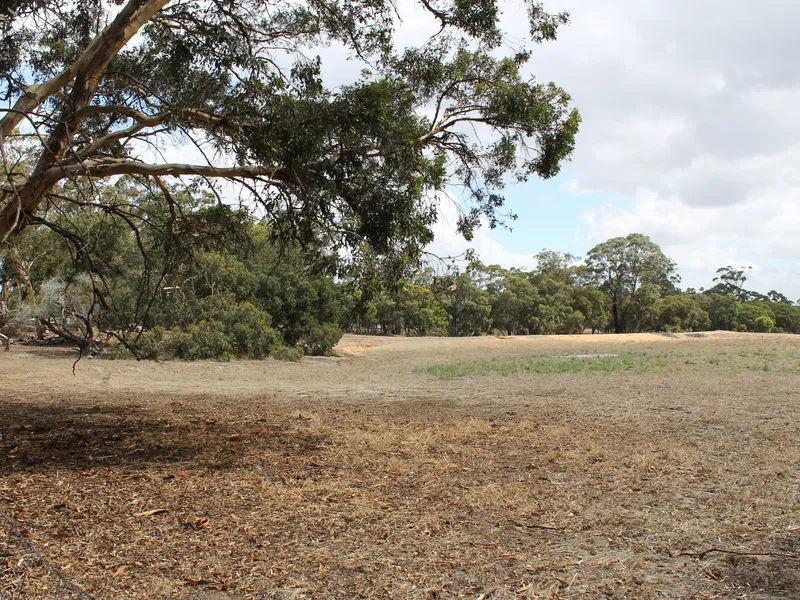 Your New Country Address Awaits!