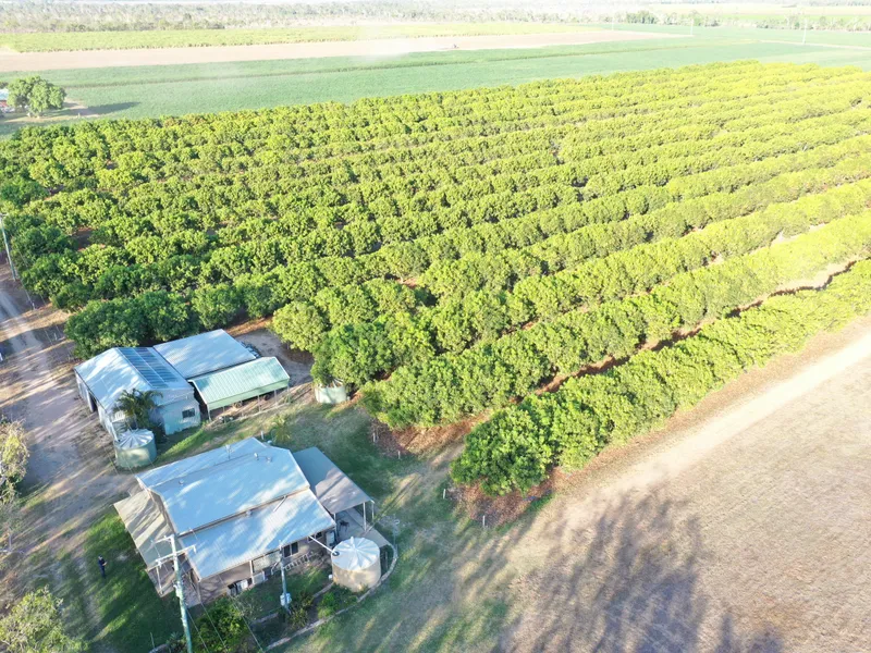 20 Acre Lifestyle Property - House - Sheds - Irrigation - River Frontage