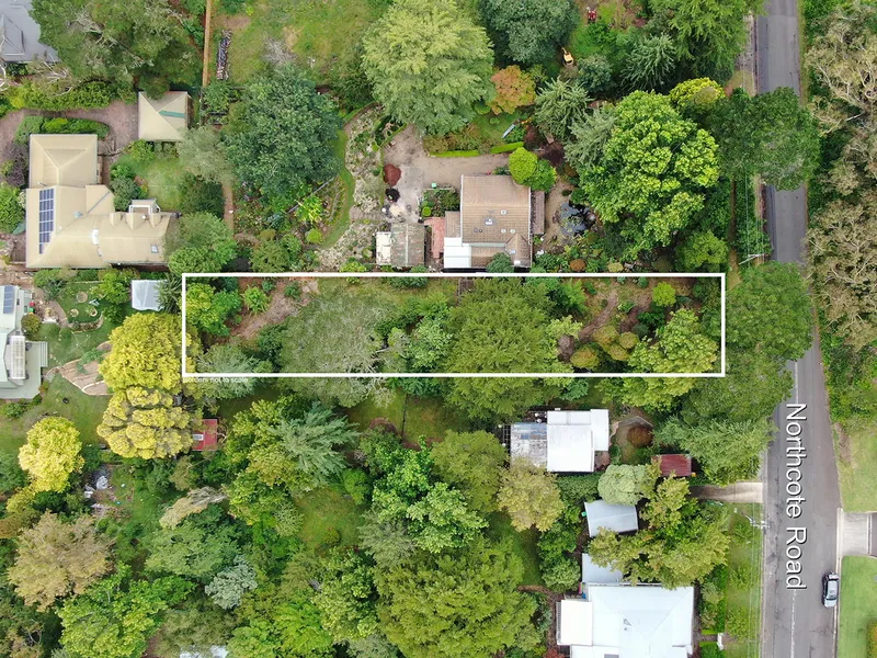 Established South Leura Oasis