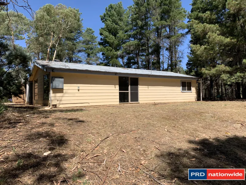 Room for the Horses - Rural Cottage - APPLICATION TAKEN!