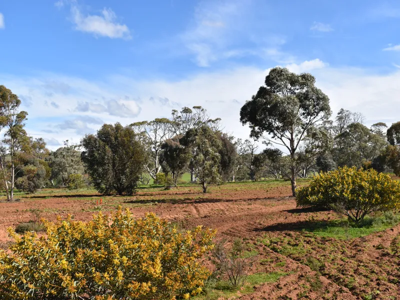 IDEAL WEEKEND RETREAT OR HOME SITE