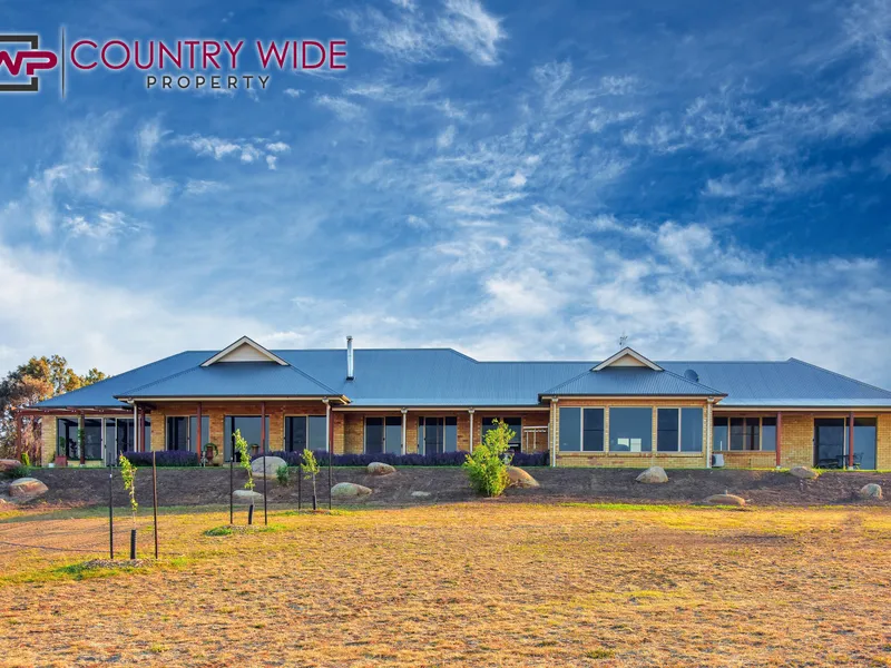 When only the best will do 