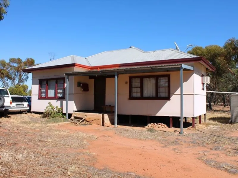 Bargain On 5 Acres! Price Reduced!