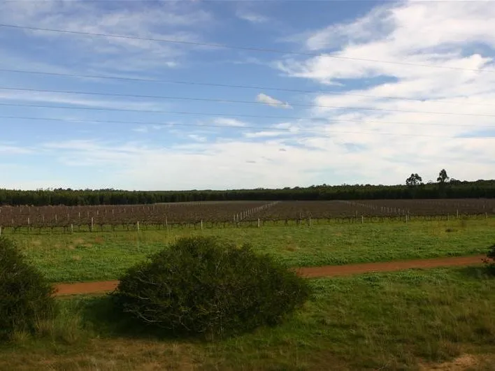 Vineyard/Farming Investment