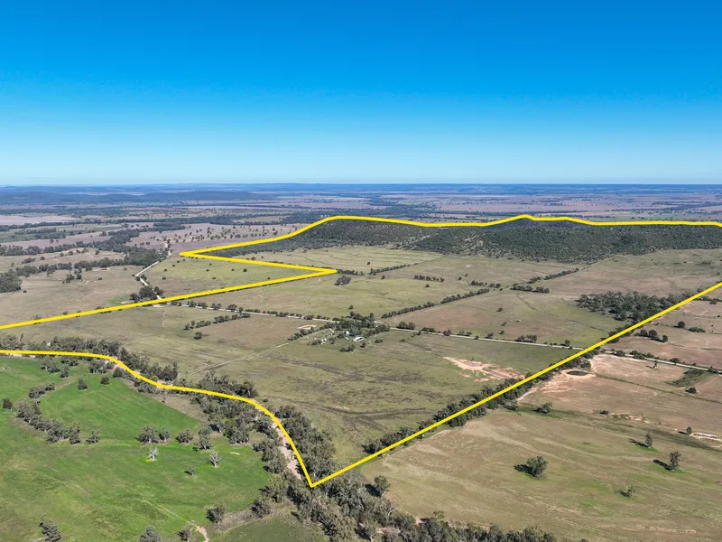 WANDO - FOR DEFINITE & OUTRIGHT SALE TO FACILITATE IMMEDIATE RETIREMENT