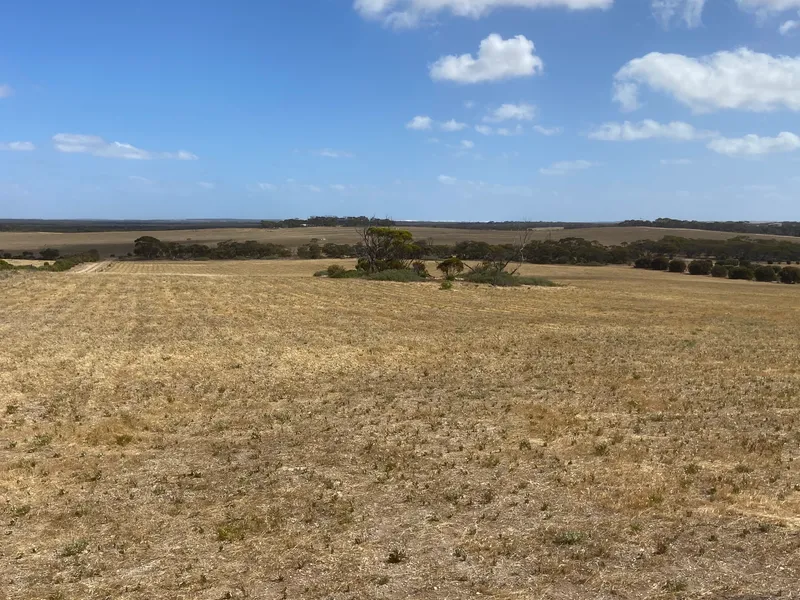 Large Vacant Alloment