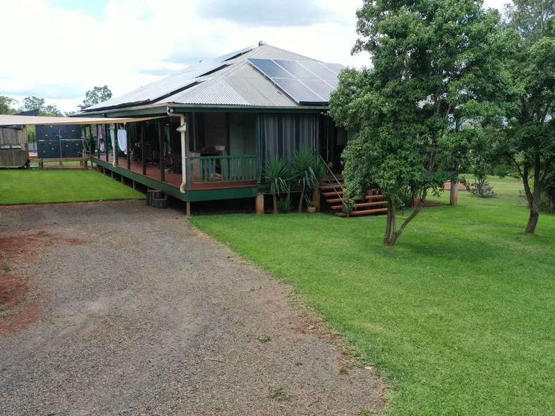 LOOKING FOR THE ULTIMATE TREE CHANGE?