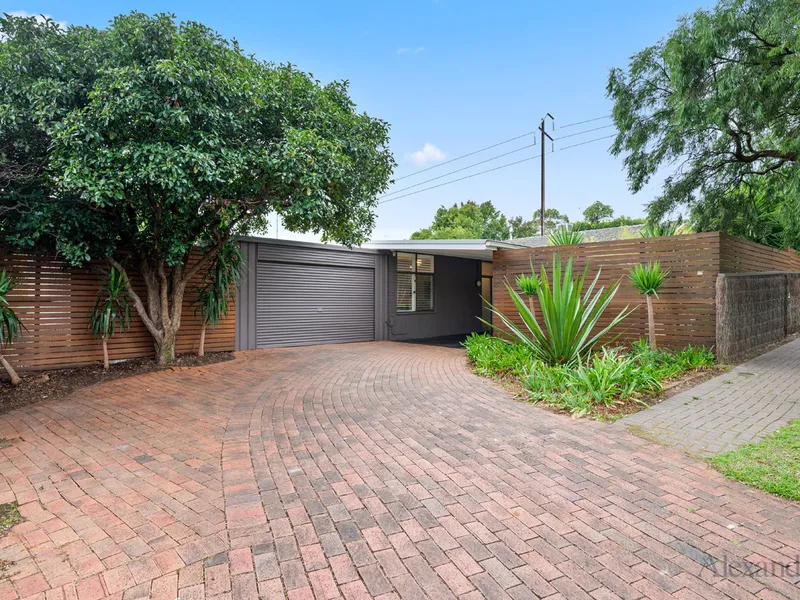 Exciting renovated three bedroom mid century modern home on 722sqm (approx.) with an inground pool.