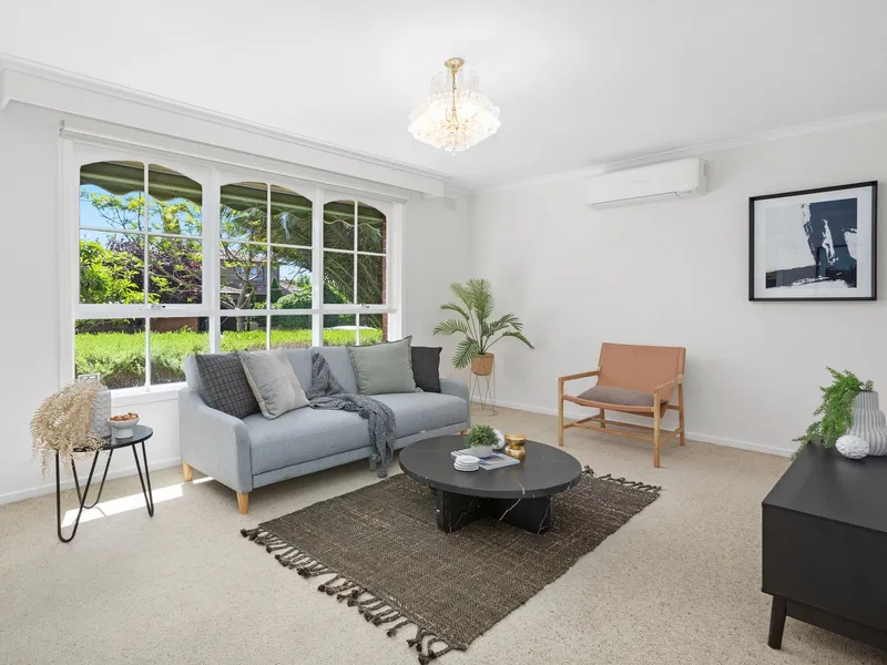 Fresh Style, Big Sun & Eye-catching Appeal!