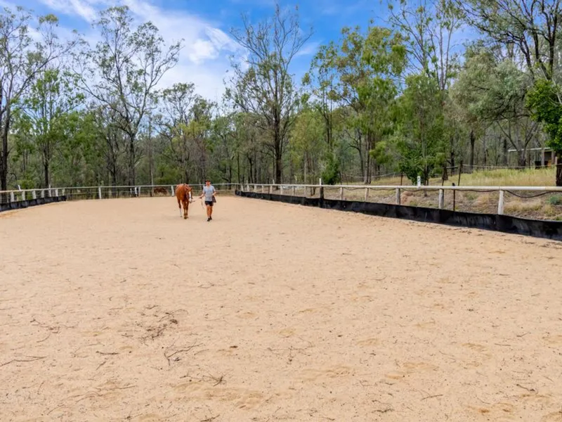 A Safe Haven for the Horse Enthusiast