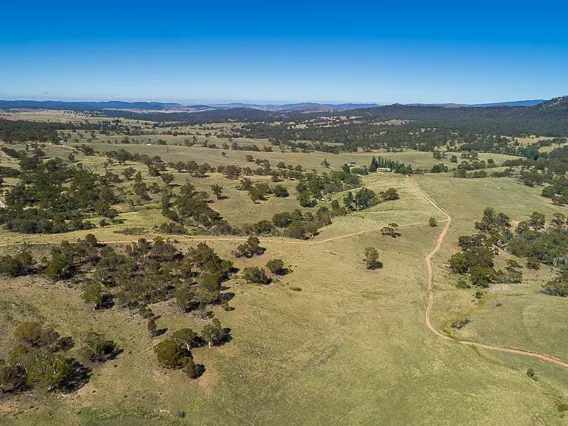 Vast land for the farmer at heart!