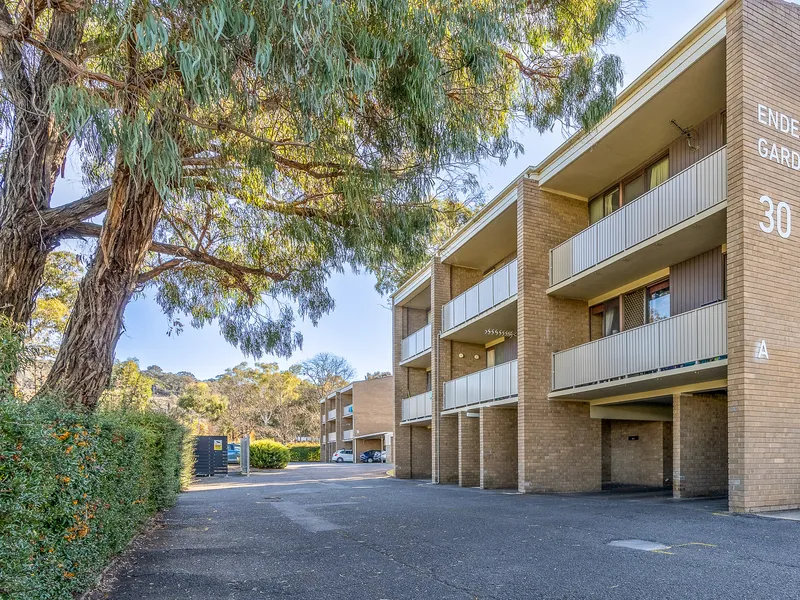 North Facing 1 Bedroom Unit