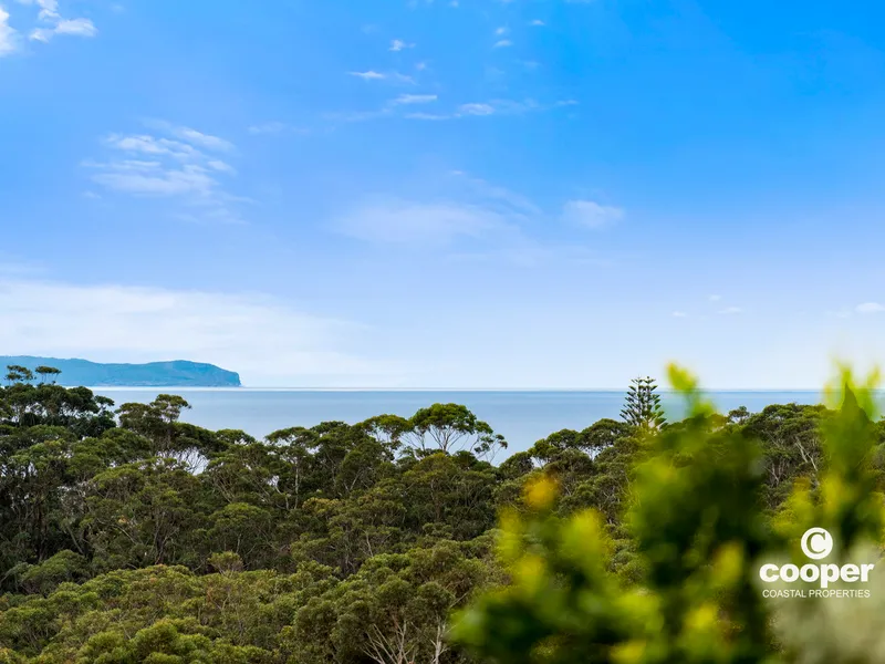 Sea Vistas on Seascape @ Narrawallee