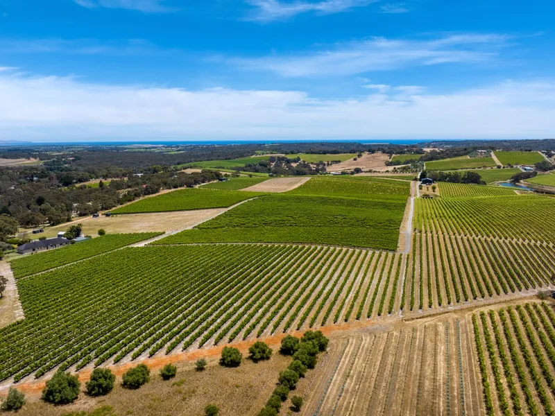 50 Acres of Prime Blewitt Springs Vineyard